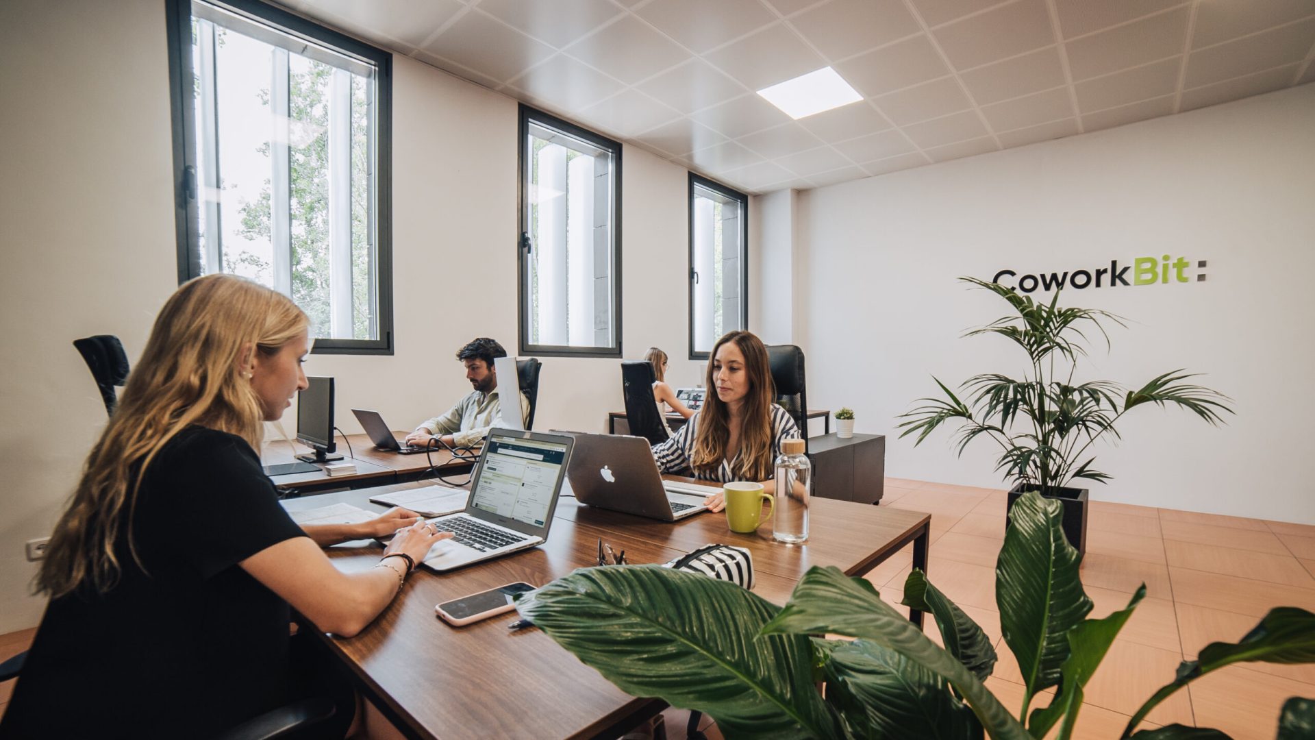 Coworking-4